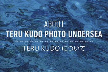 TERU KUDOについて