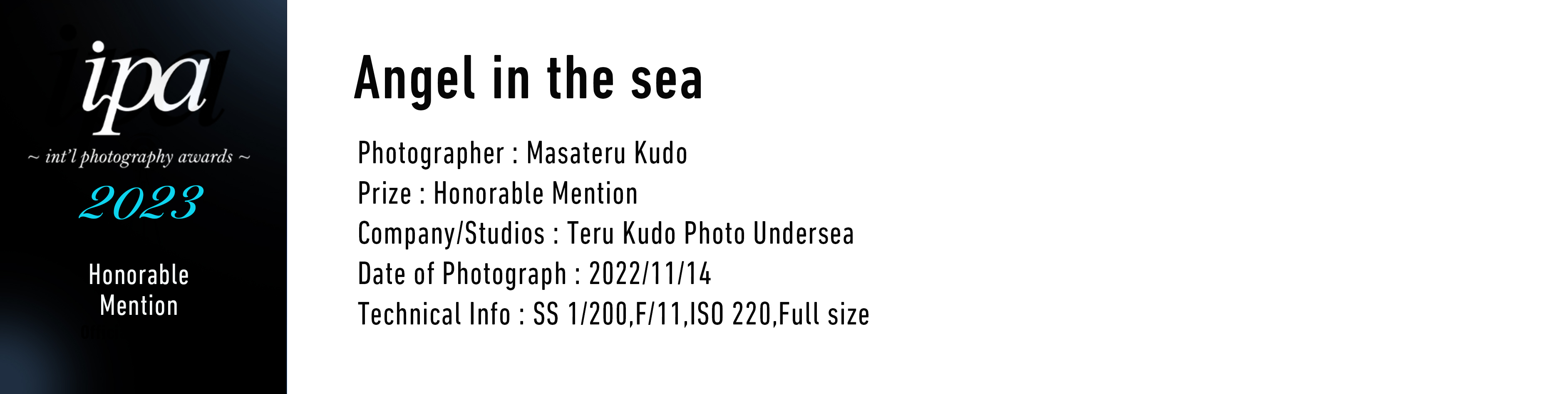 Angel in the sea Photographer: Masateru Kudo Prize: Honorable Mention Company/Studios: Teru Kudo Photo Undersea Date of Photograph: 2022/11/14 Technical Info SS 1/200,F/11,ISO 220,Full size