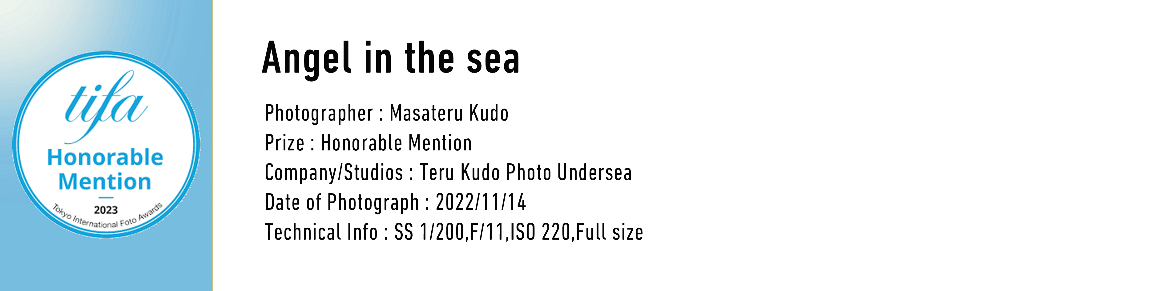 tifa Honorable Mention2023 Tokyo International Foto Awards Angel in the sea Photographer: Masateru Kudo Prize: Honorable Mention Company/Studios: Teru Kudo Photo Undersea Date of Photograph: 2022/11/14 Technical Info SS 1/200,F/11,ISO 220,Full size