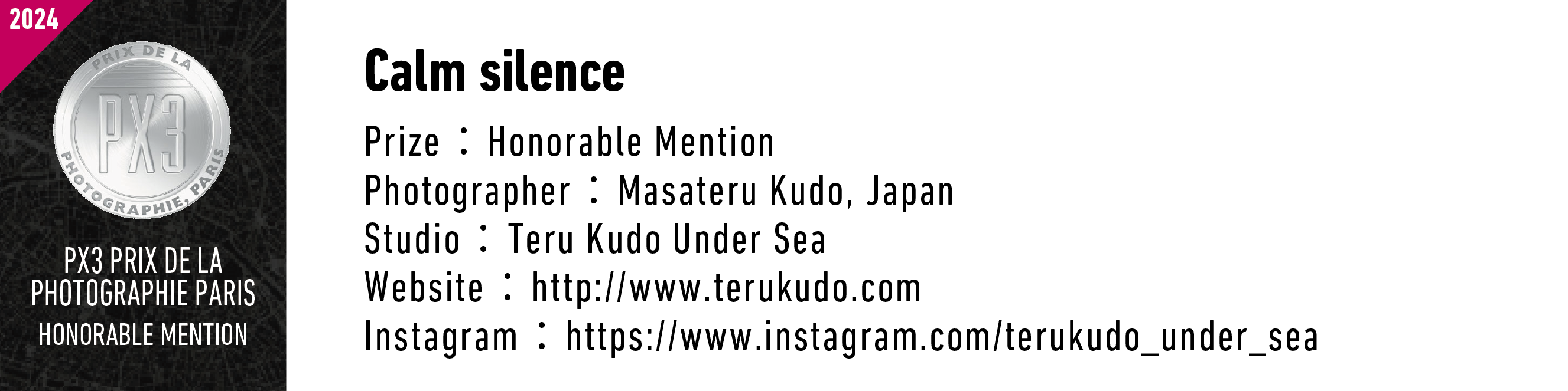 2024 PRIX DE LA PX3 PHOTOGRAPHIE PARIS HONORABLE MENTION | Calm Silence | Prize: Honorable Mention | Photographer: Masateru Kudo, Japan | Studio: Teru Kudo Under Sea | Website: http://www.terukudo.com | Instagram: https://www.instagram.com/terukudo_under_sea