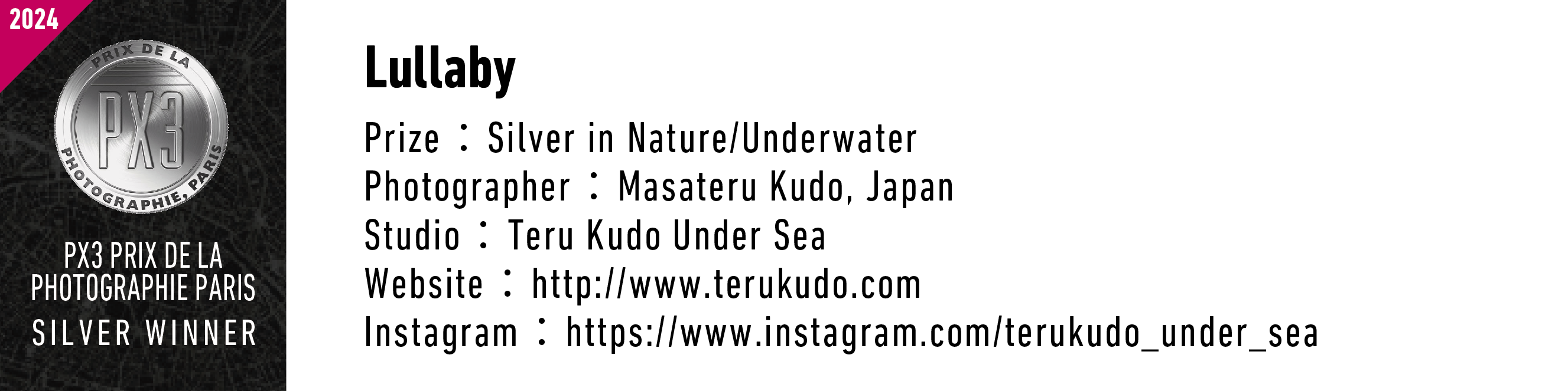 2024PRIXDE LA PX3 PHOTOGRAPHIE PARIS PX3 PRIX DE LA PHOTOGRAPHIE PARIS SILVER WINNER Lullaby Prize Silver in Nature/Underwater Photographer: Masateru Kudo, Japan Teru Kudo Under Sea Studio Website http://www.terukudo.com Instagram: https://www.instagram.com/terukudo_under_sea