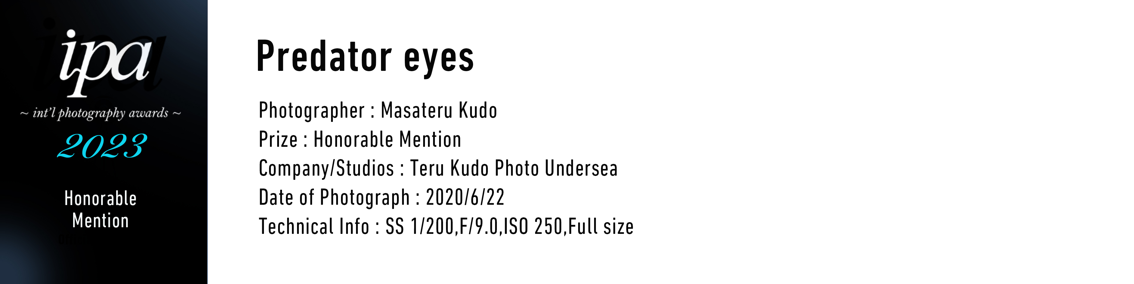 Predator eyes Photographer: Masateru Kudo Prize: Honorable Mention Company/Studios: Teru Kudo Photo Undersea Date of Photograph: 2020/6/22 Technical Info: SS 1/200,F/9.0,ISO 250,Full size