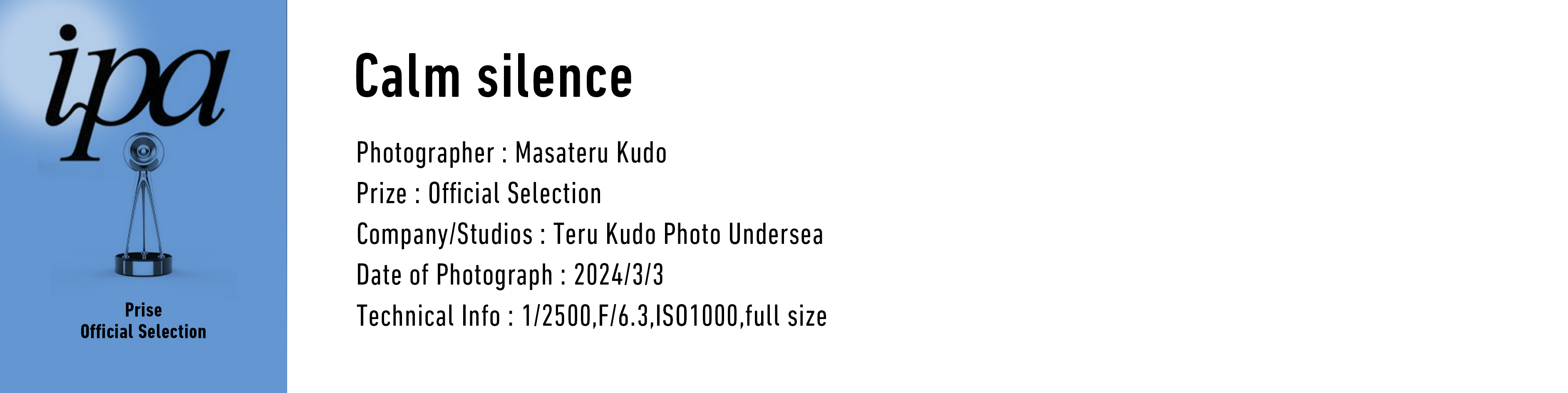 ipa Prise Official Selection Calm silence Photographer: Masateru Kudo Prize Official Selection Company/Studios: Teru Kudo Photo Undersea Date of Photograph: 2024/3/3Technical Info: 1/2500,F/6.3,ISO1000,full size