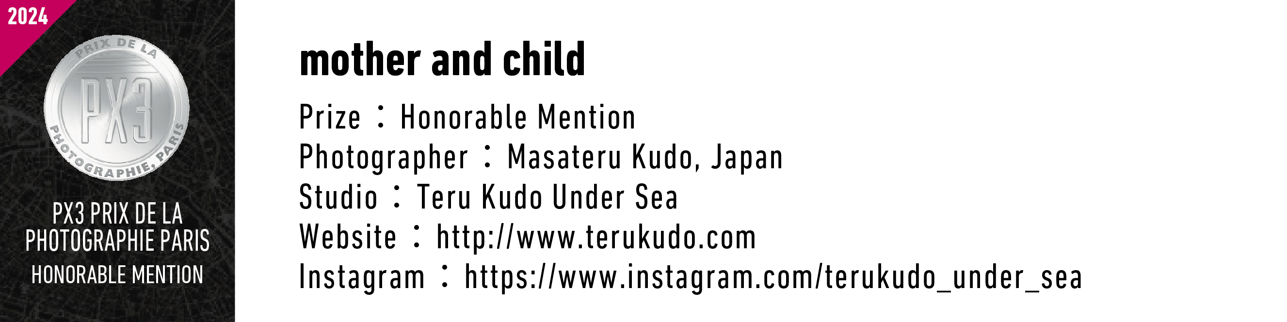 2024 PRIX PHOTO DE LA PX3 PHOTOGRAPHIE PARIS HONORABLE MENTION | Mother and Child | Prize: Honorable Mention | Photographer: Masateru Kudo, Japan | Studio: Teru Kudo Under Sea | Website: http://www.terukudo.com | Instagram: https://www.instagram.com/terukudo_under_sea