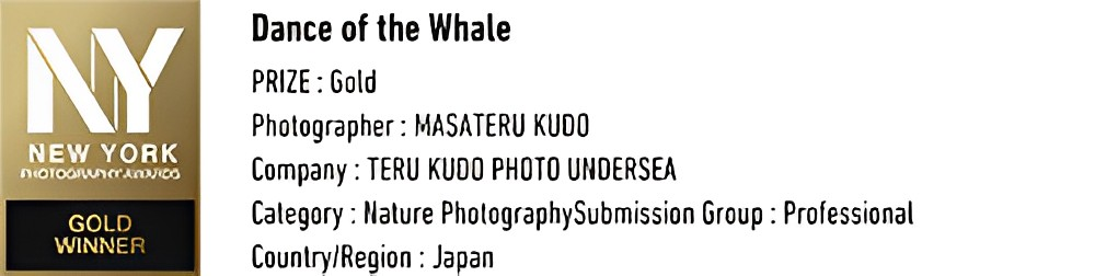 Dance of the whale Prize Gold  Company Teru Kudo Under Sea Photographer Masateru Kudo Category Nature PhotographySubmission Group Professional countryRegion japan