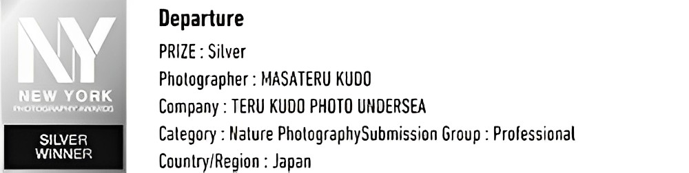 Departure Prize Silver  Company Teru Kudo Under Sea Photographer Masateru Kudo Category Nature PhotographySubmission Group Professional countryRegion japan