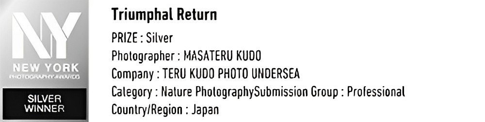 Triumphal Return Prize Silver  Company Teru Kudo Under Sea Photographer Masateru Kudo Category Nature PhotographySubmission Group Professional countryRegion japan