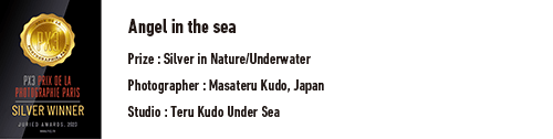 PX3 PRIX DE LA PHOTOGRAPHIE PARIS SILVER WINNERAngel in the sea Prize: Silver in Nature/Underwater Photographer: Masateru Kudo, Japan Studio: Teru Kudo Under Sea